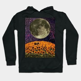 The last survivor on Sunflower planet. Hoodie